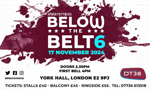 Awareness Below The Belt 6 - White Collar Boxing Event - 17/11/2024